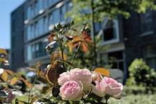 Dorothee-Sölle-Haus in Oberkassel