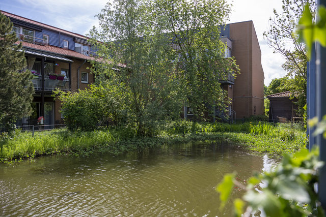 Haus Rosenpark Hemmingen