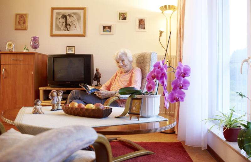 DSG Pflegewohnstift Steinhäuser Gärten, Grüner Platz 12 in 38302