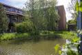 Korian Haus Rosenpark Hemmingen Blick auf den Teich (thumb)