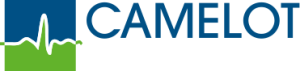 Logo Camelot / Bonitas